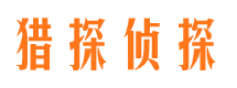 盐山市场调查